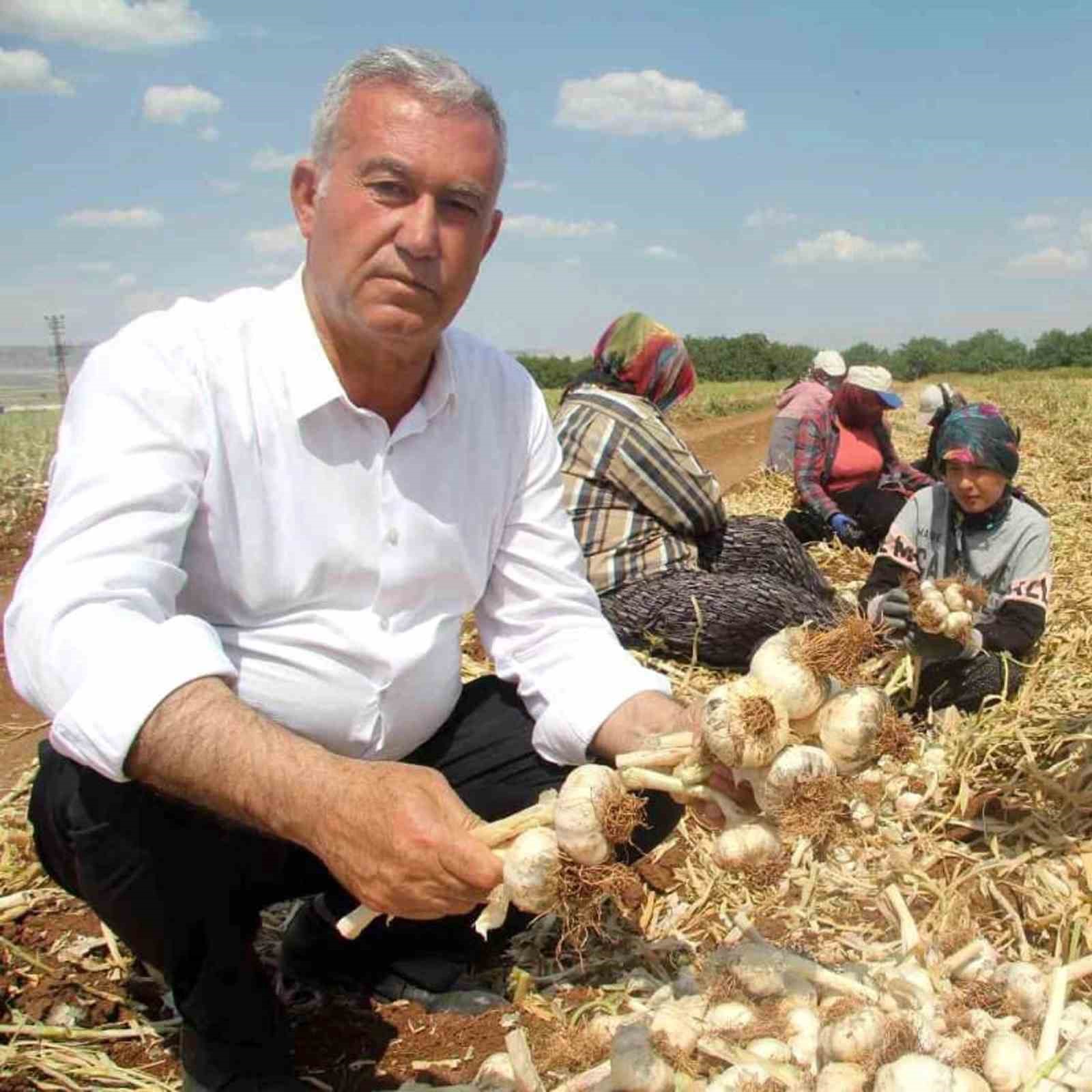GAZİANTEP'İN ARABAN İLÇESİ ZİRAAT ODASI VE SARIMSAK ÜRETİCİ BİRLİĞİ BAŞKANI HASAN ALTUN, EVLİYA ÇELEBİ'NİN ÜNLÜ ESERİ SEYAHATNAME'DE GAZİANTEP VE ÇEVRESİNİ ANLATIRKEN ARABAN OVASI VE BÖLGEDEKİ YERLEŞİMLERDEN ÖVGÜYLE BAHSETTİĞİNİ BELİRTTİ.