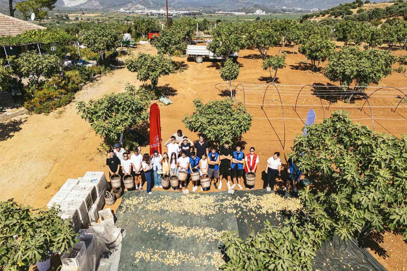 AYDIN’IN GERMENCİK İLÇESİNDE GENÇLİK MERKEZİ BÜNYESİNDE FAALİYET GÖSTEREN GÖNÜLLÜ GENÇLER, DÜZENLENEN ETKİNLİKTE İNCİR HASADINA KATILARAK TARIMSAL ÜRETİMİN ÖNEMİNE DİKKAT ÇEKTİ.