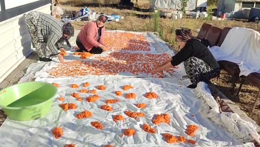 TARHANALAR HAZIR