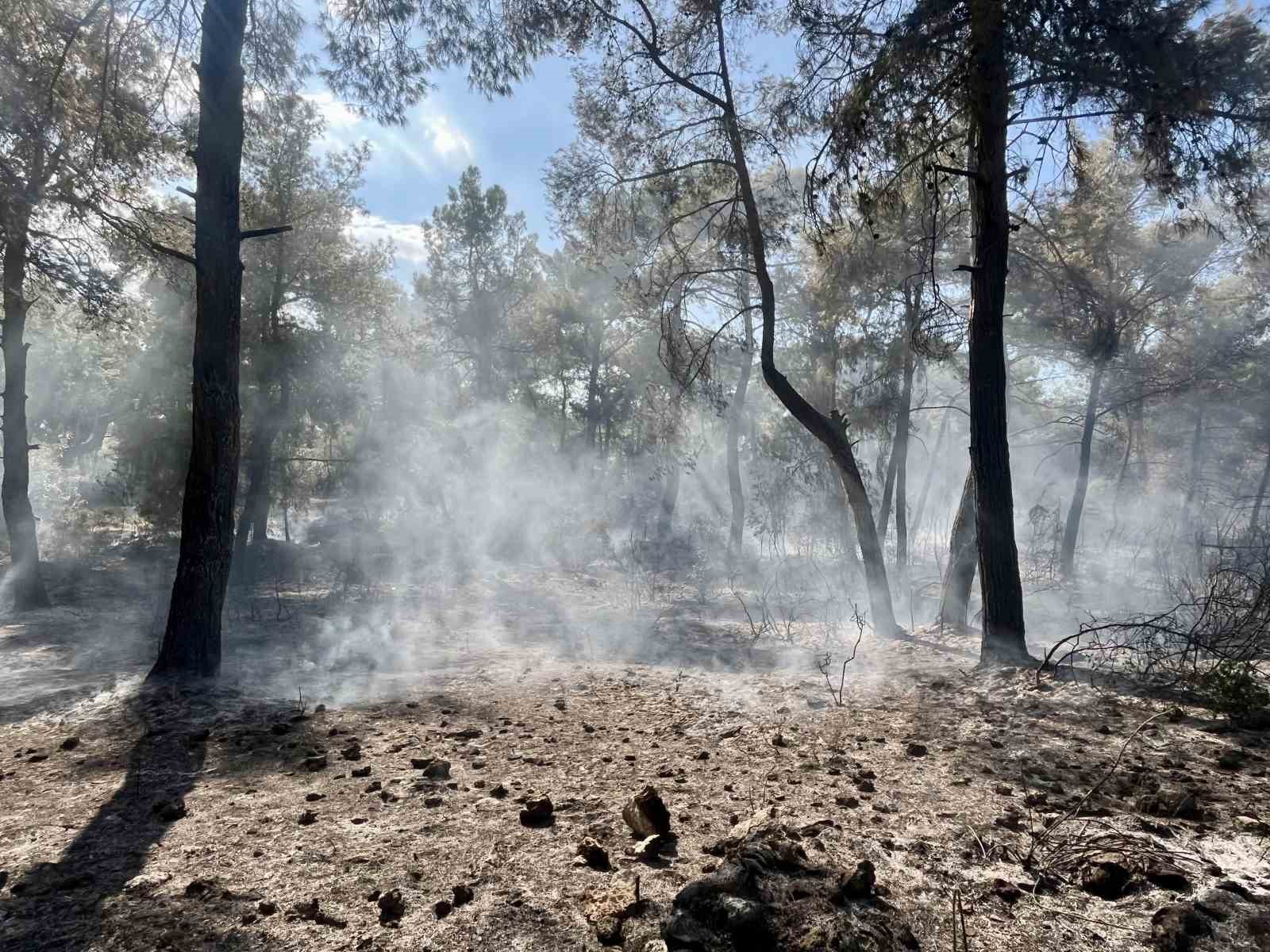 ANTALYA'NIN KEPEZ İLÇESİNDE ÇIKAN ORMAN YANGINI, HAVADAN VE KARADAN MÜDAHALEYLE KONTROL ALTINA ALINDI. EKİPLERİN BÖLGEDE SOĞUTMA ÇALIŞMASI SÜRÜYOR.