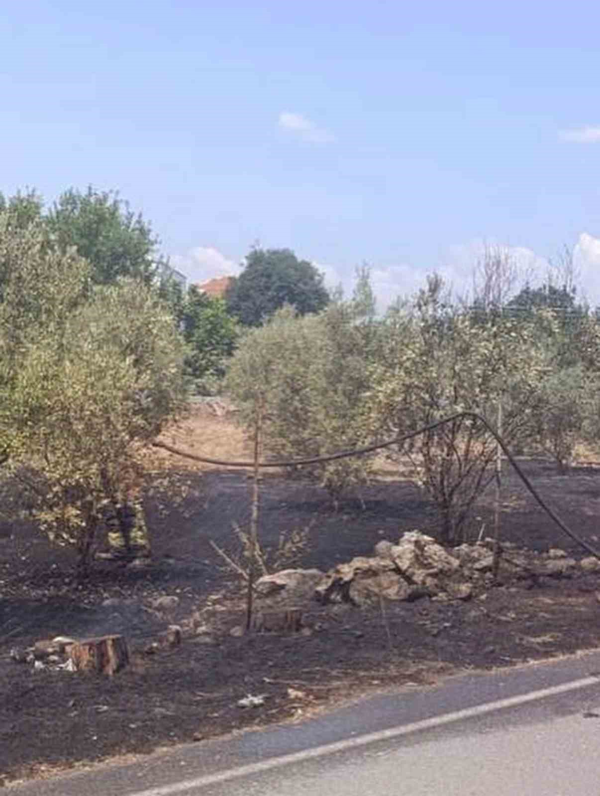 DÖRTYOL İLÇESİ KUZUCULU MAHALLESİ’NDE ÇIKAN BAHÇE YANGININA EKİPLERİN MÜDAHALESİNDEN GÖRÜNTÜ.