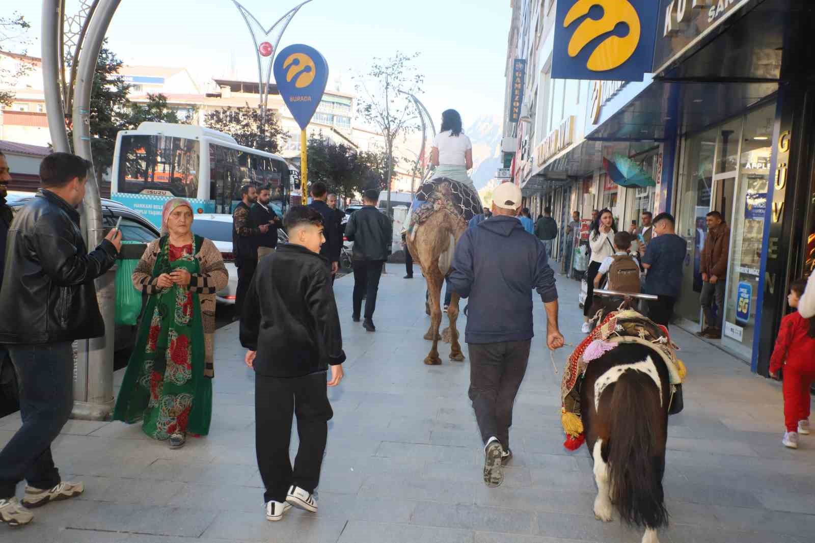 HAKKARİ'DE DÜZENLENEN YÖRESEL ÜRÜNLER ETKİNLİĞİ İÇİN HATAY'DAN GETİRİLEN DEVE VE MİDİLLİLER YOĞUN İLGİ GÖRDÜ.