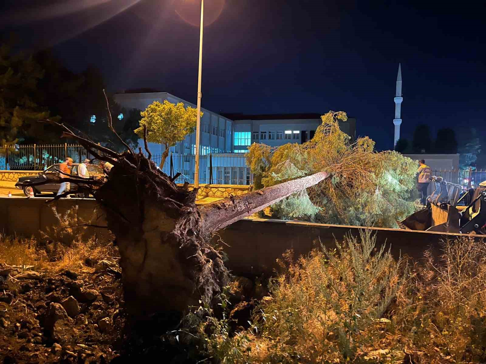 ÇORUM'DA RÜZGARIN ŞİDDETİNE DAYANAMAYAN AĞAÇ YOLA DEVRİLDİ. OLAYDA ŞANS ESERİ YARALANAN OLMAZKEN, PARK HALİNDEKİ BİR ARAÇ HASAR GÖRDÜ.