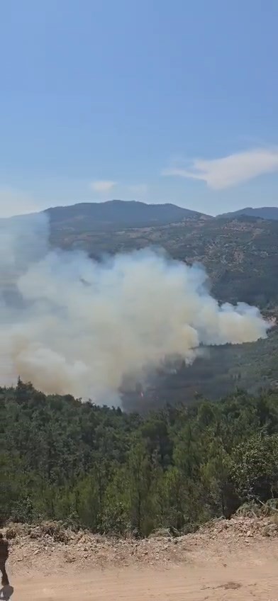 BALIKESİR’İN SINDIRGI İLÇESİNDE ARAÇTAN ÇIKTIĞI BELİRTİLEN YANGININ ORMANLIK ALANA SIÇRAMASI ÜZERİNE EKİPLER HAREKETE GEÇTİ. YANGINA HAVADAN VE KARADAN MÜDAHALE DEVAM EDİYOR.