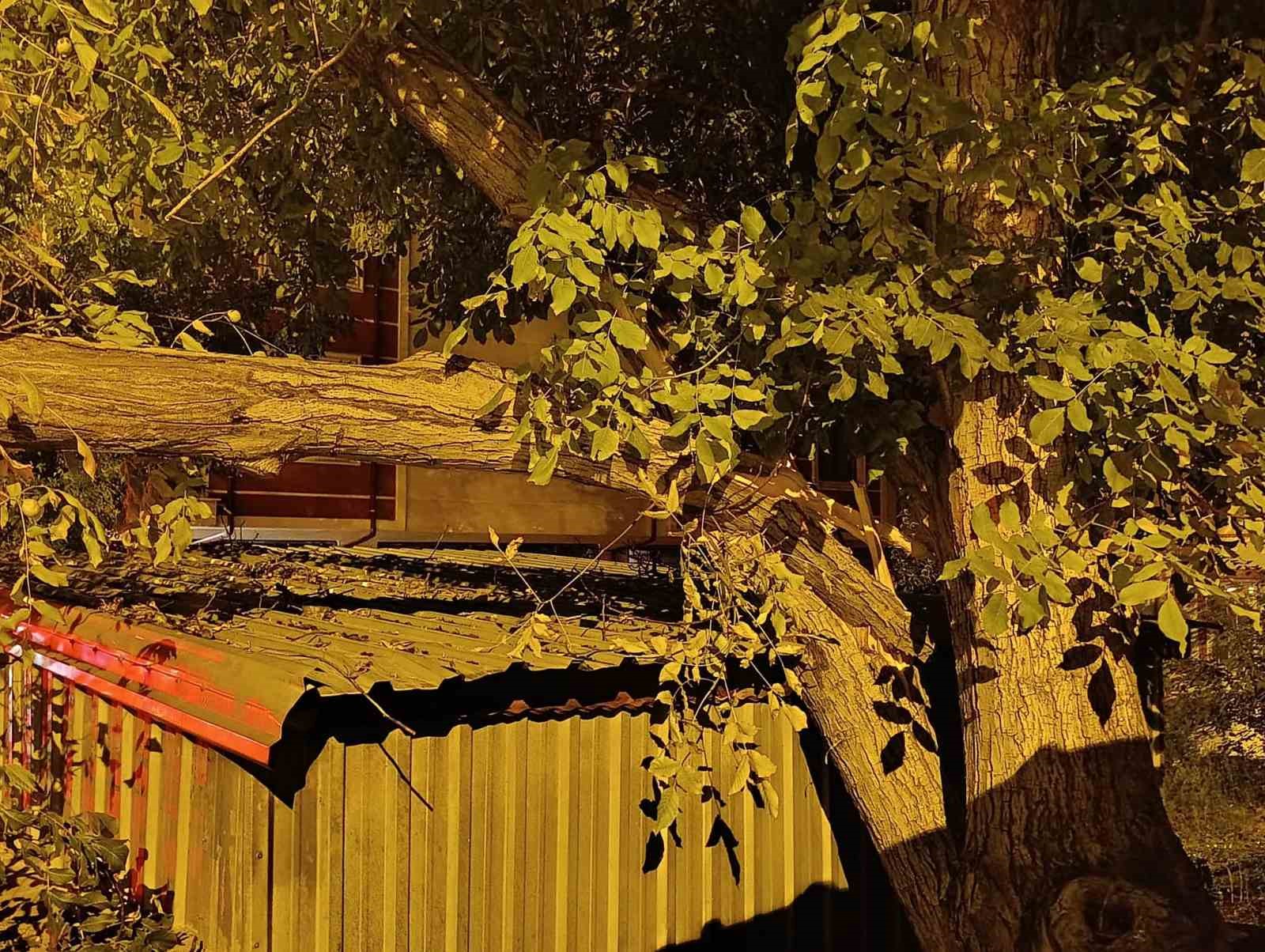 KONYA’NIN BEYŞEHİR İLÇESİNDE GECE SAATLERİNDE YOLA CEVİZ AĞACININ DALLARI DEVRİLDİ. OLAYDA ŞANS ESERİ YARALANAN OLMAZKEN, CADDE BİR SÜRE ULAŞIMA KAPANDI.