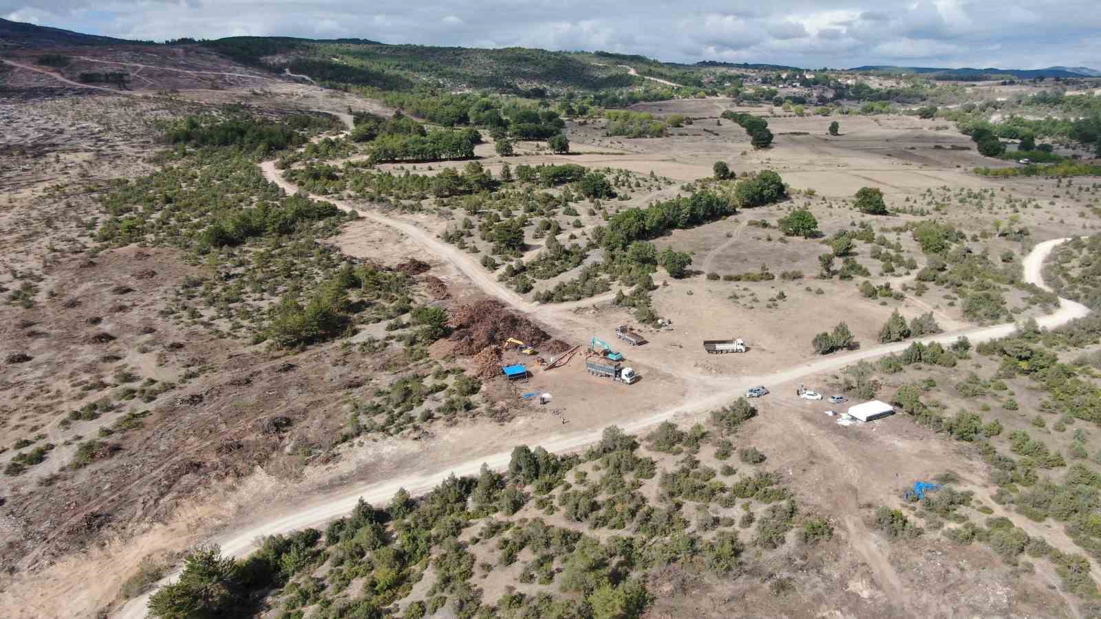KASTAMONU’NUN ARAÇ İLÇESİNDE GEÇTİĞİMİZ YIL ÇIKAN VE 5 GÜN SÜREN ORMAN YANGININDA ZARAR GÖREN AĞAÇLAR, ORMANLIK ALANDAN ÇIKARTILARAK TALAŞ HALİNE GETİRİLİYOR.