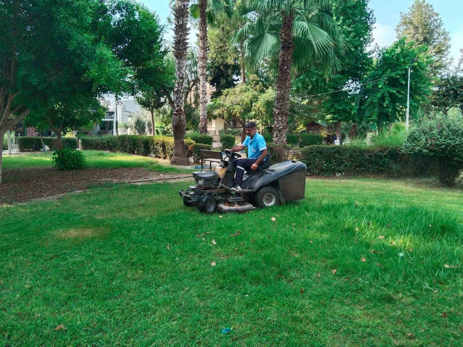 MERSİN’İN AKDENİZ İLÇESİNDE PARK VE YEŞİL ALANLARDA BAKIM, ONARIM, BUDAMA VE TEMİZLİK ÇALIŞMALARI GERÇEKLEŞTİRİLİYOR. EKİPLER, RİSK OLUŞTURAN AĞAÇLARIN BUDANMASINDAN ÇOCUK OYUN GRUPLARININ ONARIMINA KADAR BİRÇOK NOKTADA ÇALIŞMA YÜRÜTÜYOR.