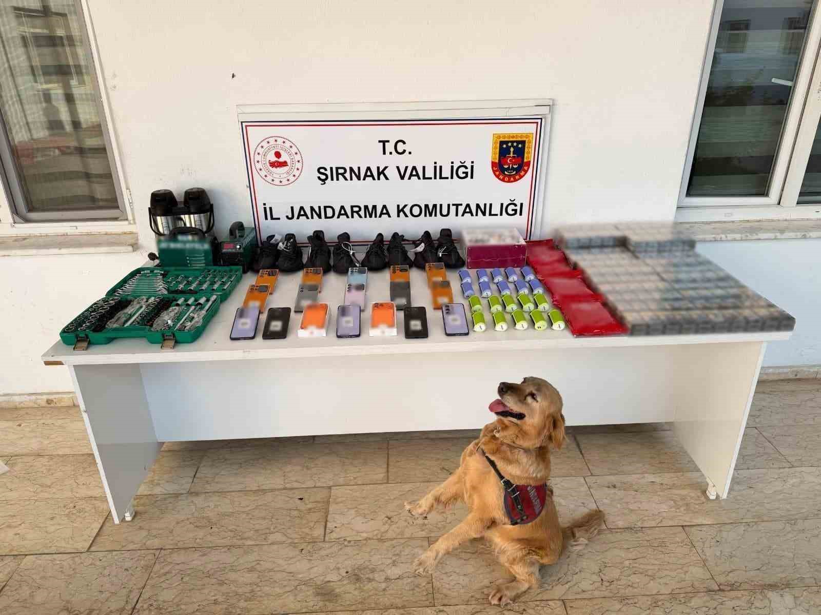 ELE GEÇİRİLENLER