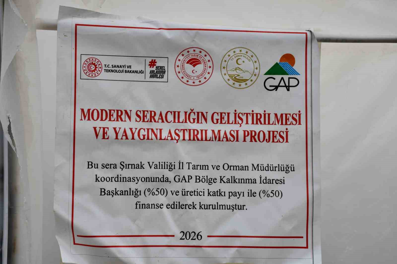 ŞIRNAK'IN ULUDERE İLÇESİNE BAĞLI ŞENOBA BELDESİNDE AİLELERİN DEVLETTEN ALDIKLARI YÜZDE 50 İLE KURDUKLARI SERALAR GELİR KAYNAKLARI OLDU.