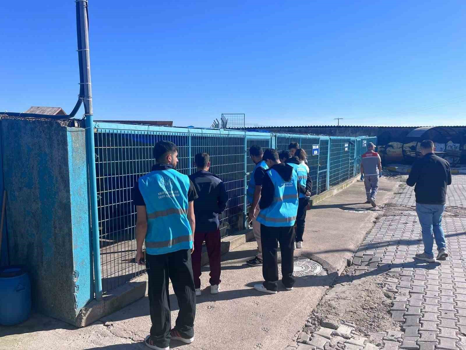 KUŞCENNETİ KYK ÖĞRENCİLERİNDEN SOKAK HAYVANLARINA DESTEK