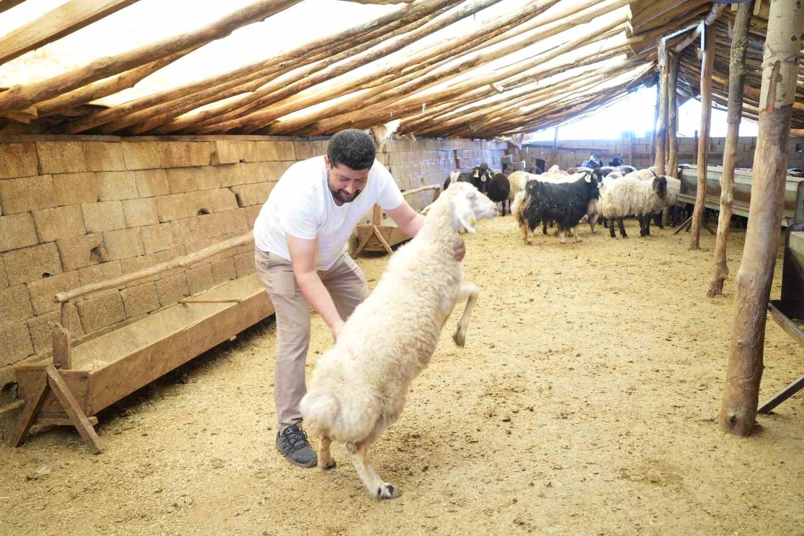 MUŞ’UN YÖRESEL LEZZETLERİ ARASINDA ÖNEMLİ BİR YERE SAHİP OLAN BÜRYAN, MERALARDA YETİŞTİRİLEN KÜÇÜKBAŞ HAYVANLARIN ETLERİNİN ÖZENLE HAZIRLANIP TANDIRDA PİŞİRİLMESİYLE SOFRALARI SÜSLÜYOR.