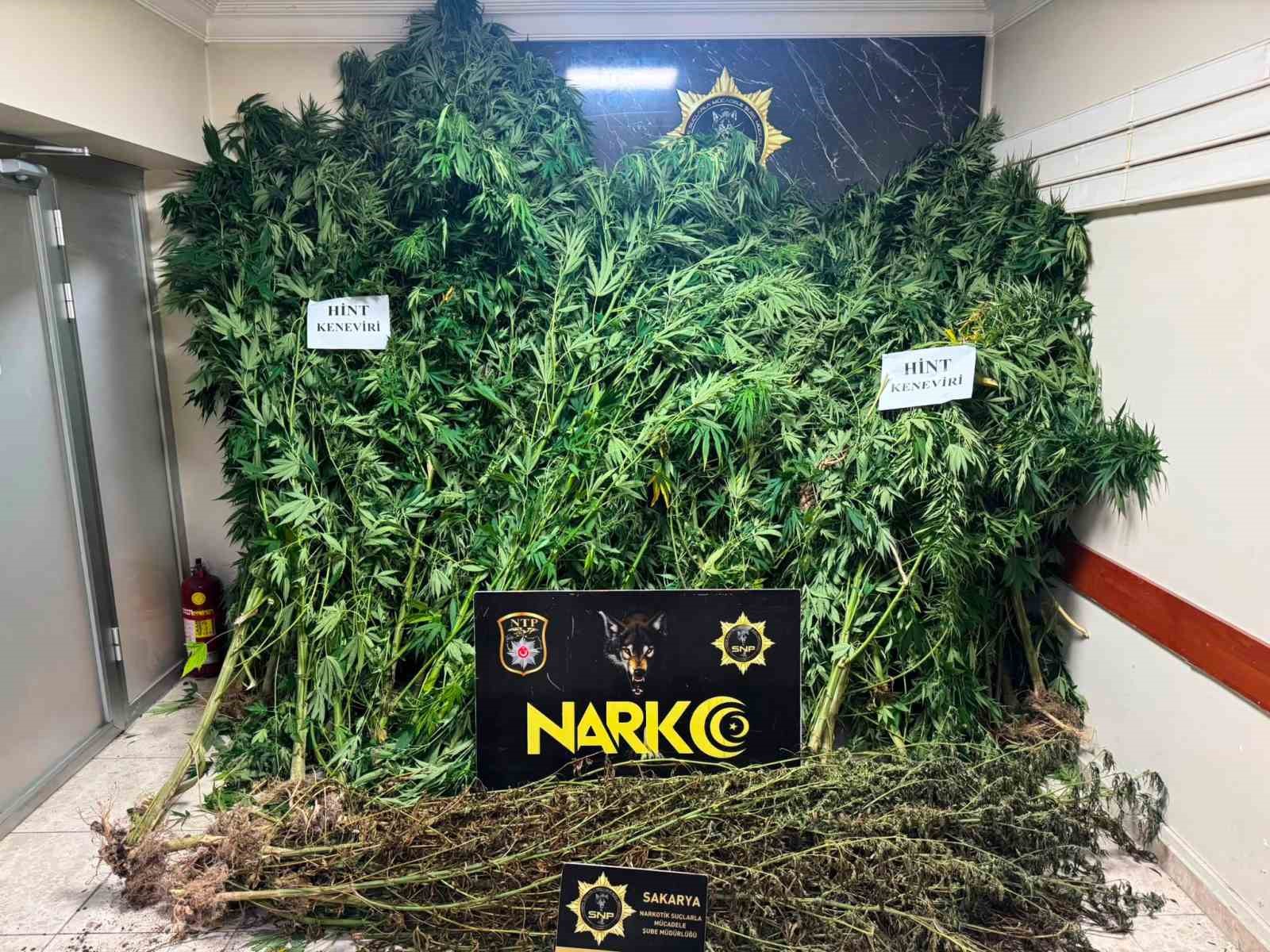 SAKARYA’NIN KARASU İLÇESİNDE POLİS EKİPLERİNCE DÜZENLENEN UYUŞTURUCU OPERASYONUNDA 50 KÖK HİNT KENEVİRİ İLE KURUTULMAYA BIRAKILMIŞ 10 KİLO 100 GRAM ESRAR MADDESİ ELE GEÇİRİLDİ.