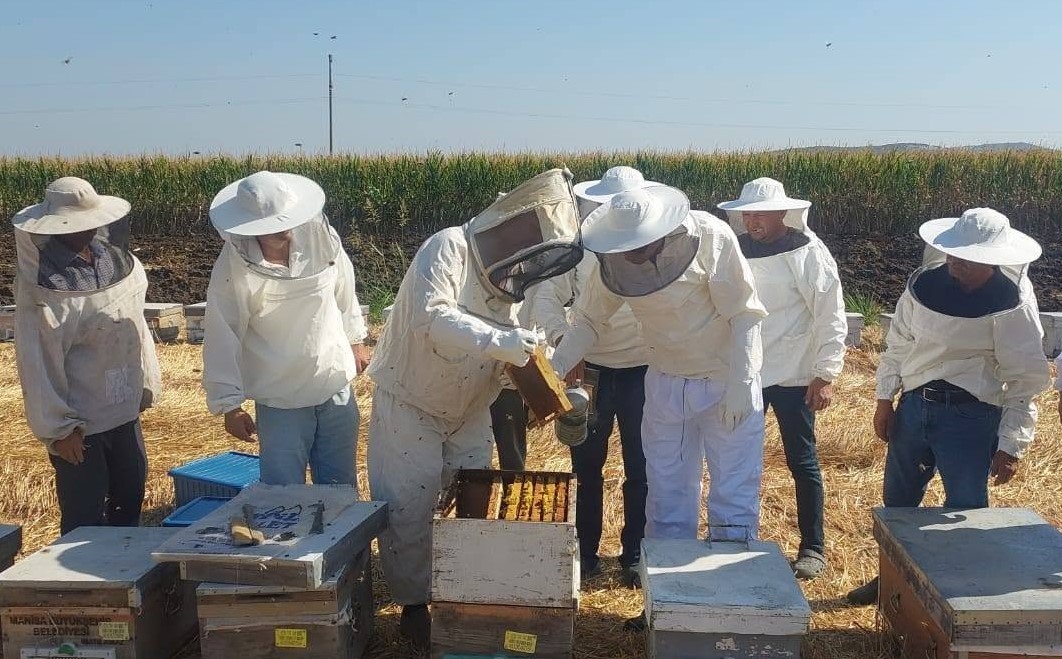 MANİSA’NIN SARUHANLI İLÇESİNDE KAYMAKAM FATİH ÖZCAN, HALİTPAŞA MAHALLESİ’NDE GERÇEKLEŞTİRİLEN BAL HASADINA KATILDI. SARUHANLI İLÇE TARIM VE ORMAN MÜDÜRÜ ALİ TUNÇEL’İN DE YER ALDIĞI HASATTA ÖZCAN, KOVANDAN BAL SAĞIMI VE SÜZME İŞLEMİNİ GERÇEKLEŞTİRİRKEN, TUNÇEL’DEN İLÇEDEKİ ARICILIK FAALİYETLERİ HAKKINDA BİLGİ ALDI.