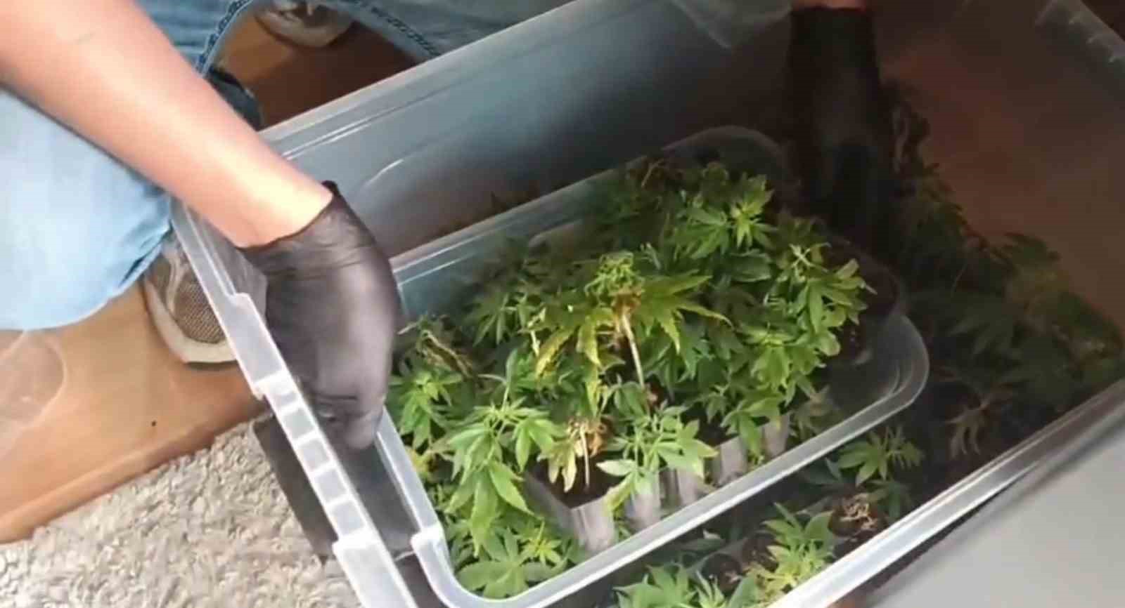 ADANA’DA JANDARMA EKİPLERİNİN BİR ADRESE DÜZENLEDİĞİ OPERASYONDA 138 KÖK SKUNK BİTKİSİ İLE 4 KİLO 112 GRAM KUBAR ESRAR ELE GEÇİRİLİRKEN, 1 ŞÜPHELİ GÖZALTINA ALINDI.