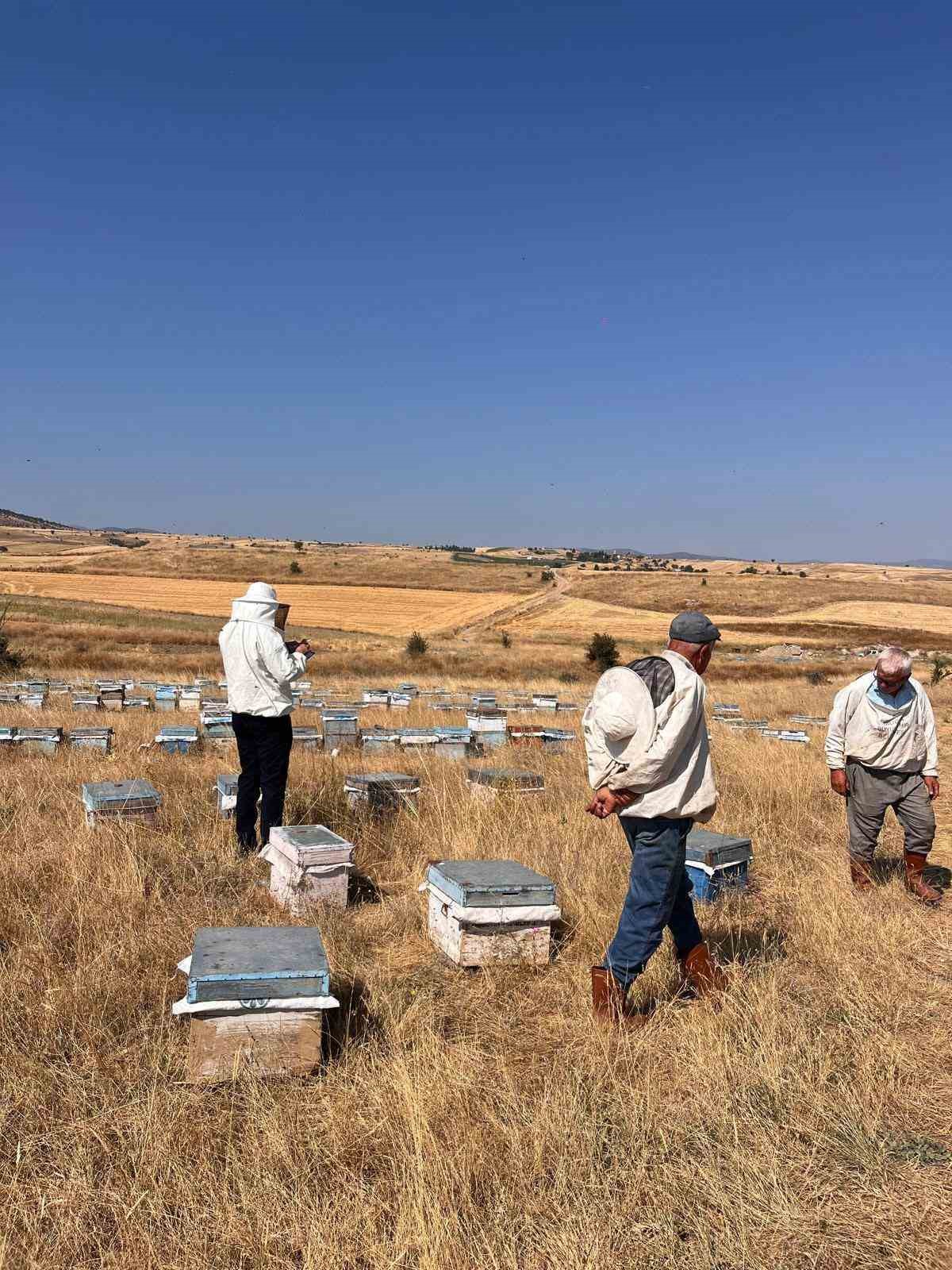 AFYONKARAHİSAR TARIM VE ORMAN İL MÜDÜRLÜĞÜ TARAFINDAN ARICILIĞIN SÜRDÜRÜLEBİLİR ŞEKİLDE GELİŞTİRİLMESİ, ÜRETİCİLERİN DESTEKLEMELERDEN ETKİN BİR ŞEKİLDE FAYDALANABİLMESİ VE ARICILIK FAALİYETLERİNİN SAĞLIKLI VERİLERLE TAKİP EDİLEBİLMESİ AMACIYLA SAHADAKİ ÇALIŞMALAR DEVAM EDİYOR.