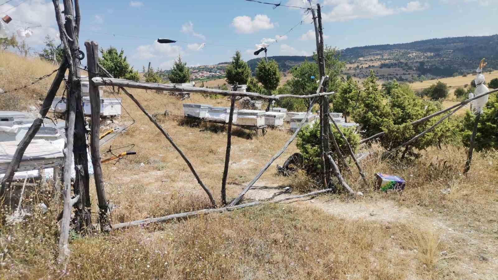 EMET'TE ARILI KOVAN TESPİT ÇALIŞMASI