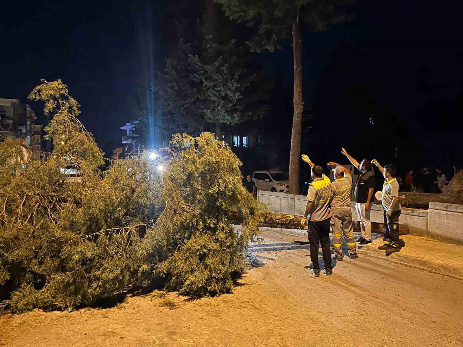 ÇORUM'DA RÜZGARIN ŞİDDETİNE DAYANAMAYAN AĞAÇ YOLA DEVRİLDİ. OLAYDA ŞANS ESERİ YARALANAN OLMAZKEN, PARK HALİNDEKİ BİR ARAÇ HASAR GÖRDÜ.