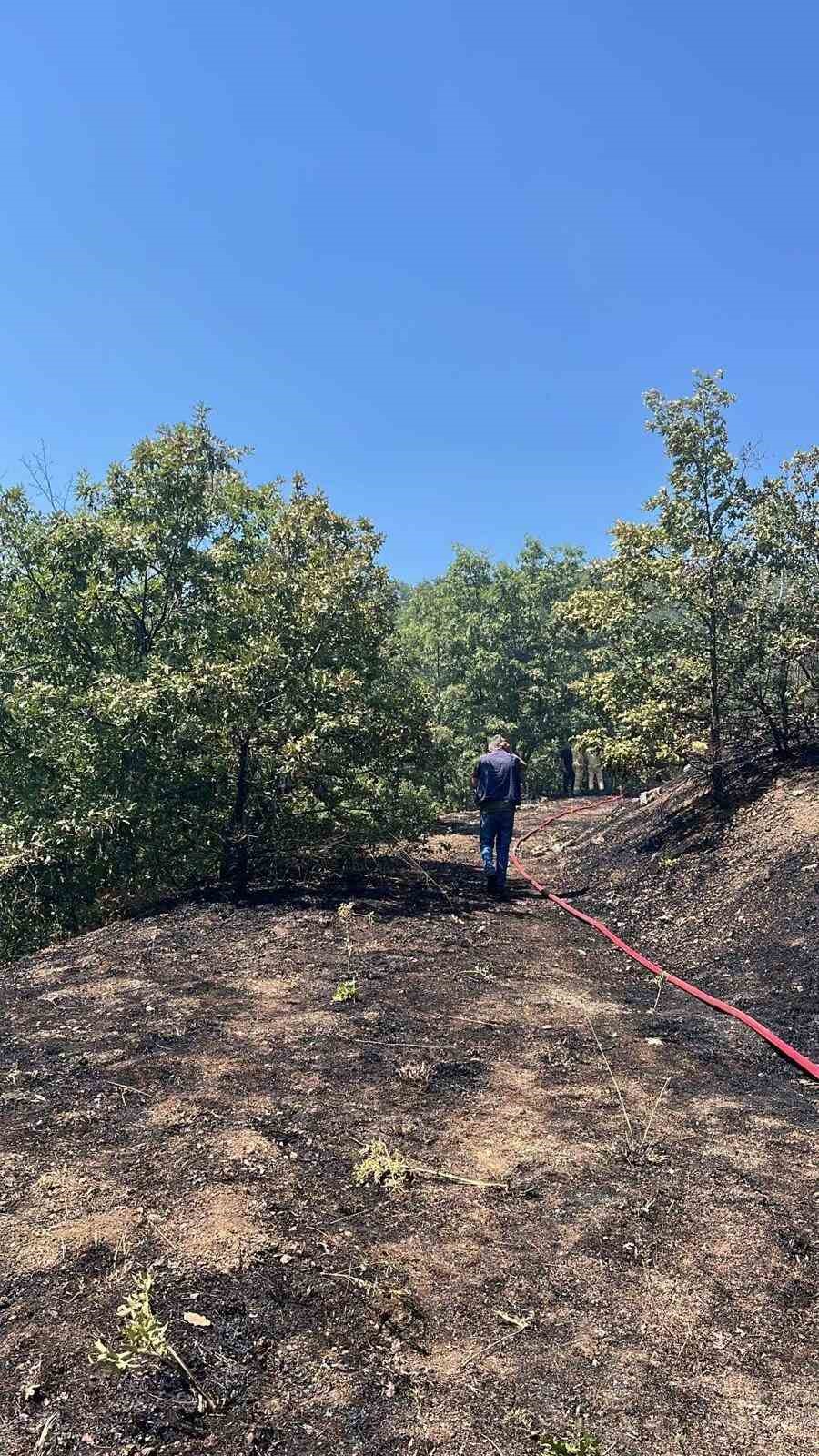 BİLECİK’TE ORMAN YANGINI KORKUTTU