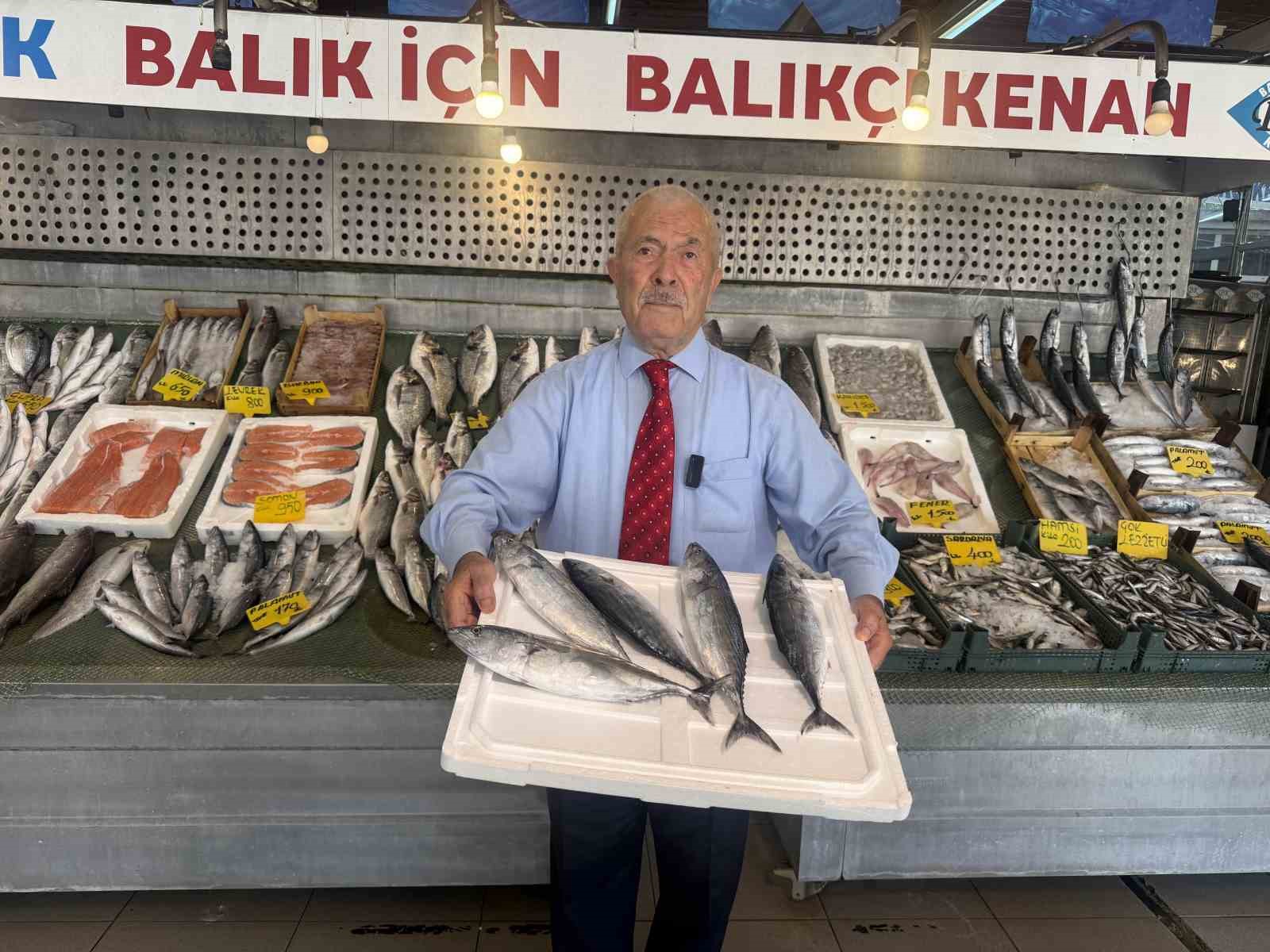 TÜRKİYE DENİZ CANLILARI MÜZESİ KURUCUSU BALIKÇI KENAN BALCI, " OLTAMIZI HANGİ BÖLGEYE ATARSAK, PALAMUT, HAMSİ, SARDALYA İLE KARŞILAŞIYORUZ. HALKIMIZ BU YIL BOL BOL BALIK YİYECEK GİBİ" DEDİ.
