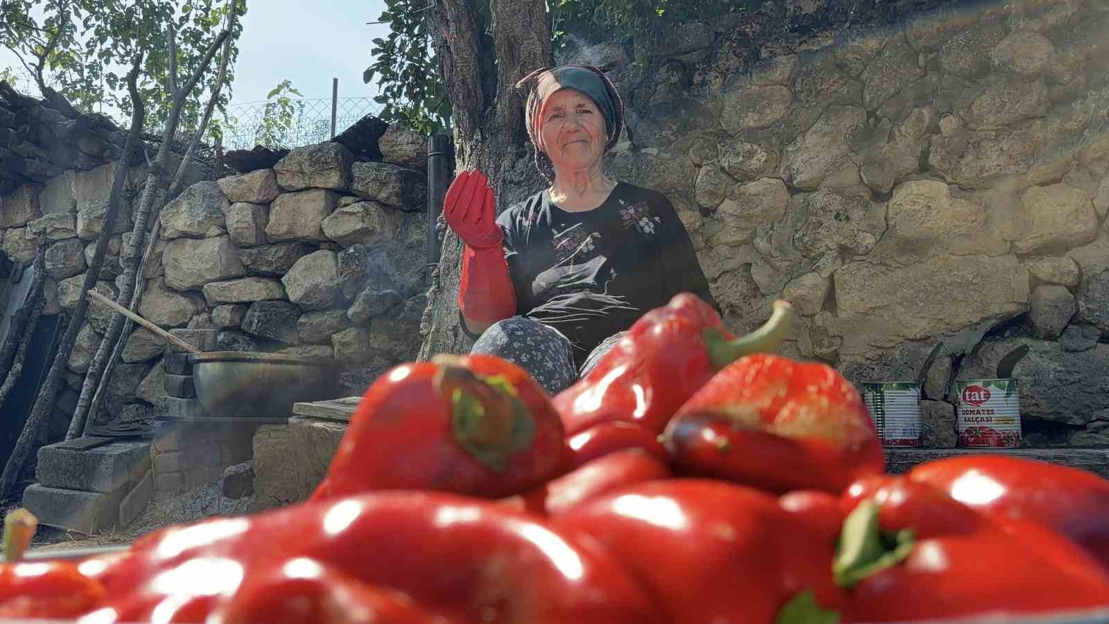 SOĞUCAK KÖYÜNDE YAŞAYAN 75 YAŞINDAKİ RUKİYE DÜNDAR, KIŞLIK SALÇA KAYNATMANIN VAKTİNİN GELDİĞİNİ SÖYLEYEREK YILLARDIR UYGULADIĞI SALÇA YAPIMI TARİFİNİ VERDİ.