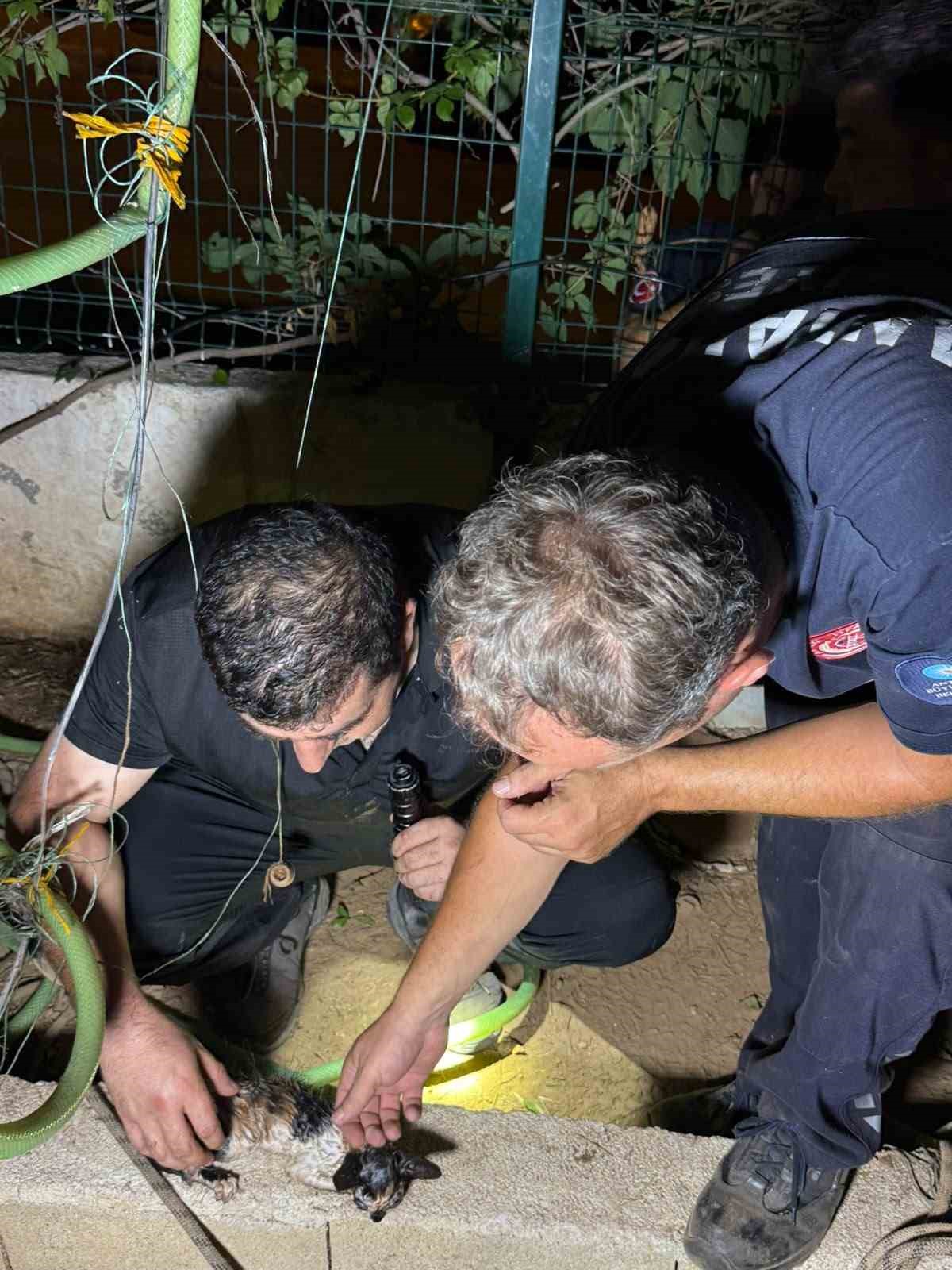 ANTALYA’DA EV SAHİBİNİN GÜNLERDİR BAHÇESİN GELEN KEDİ SESİNİ FARK ETMESİ İLE 30 METRELİK SONDAJ KUYUSUNA DÜŞEREK MAHSUR KALAN YAVRU KEDİ İTFAİYENİN FİLM GİBİ OPERASYONU İLE KURTARILDI.