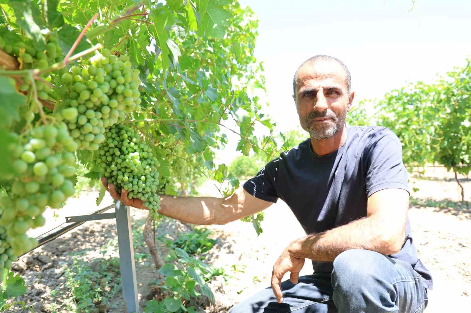 ÖZEL ÇETİN
