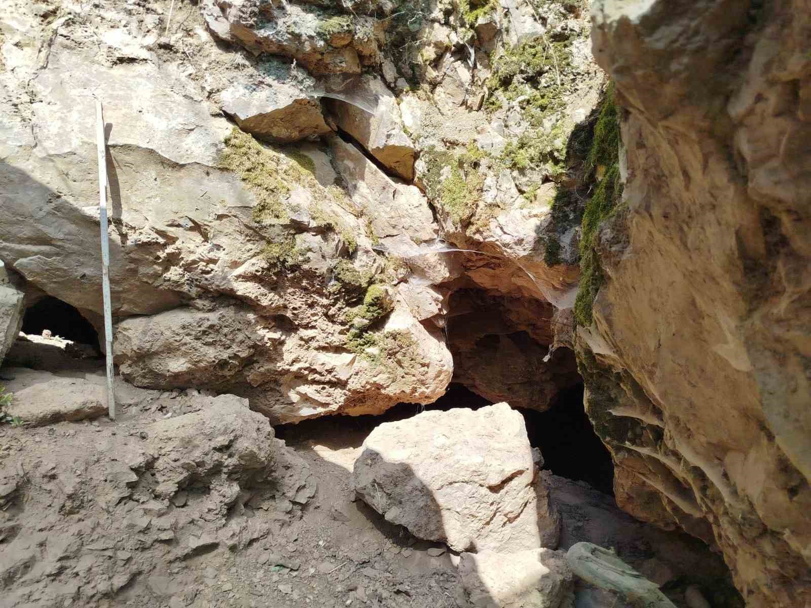 ÇANAKKALE'NİN ÇAN İLÇESİNE BAĞLI BAHADIRLI KÖYÜ SINIRLARI İÇERİSİNDE 2017 YILINDAN BU YANA DEVAM EDEN İNKAYA MAĞARASI KAZI ÇALIŞMALARINDA BU YIL GEÇMİŞ YILLARDA TARİHLENDİRME YAPILAN 86 BİN YILLIK HAYAT İZLERİ BULUNAN BÖLGEDE E-DNA UYGULAMASI YAPILACAK.