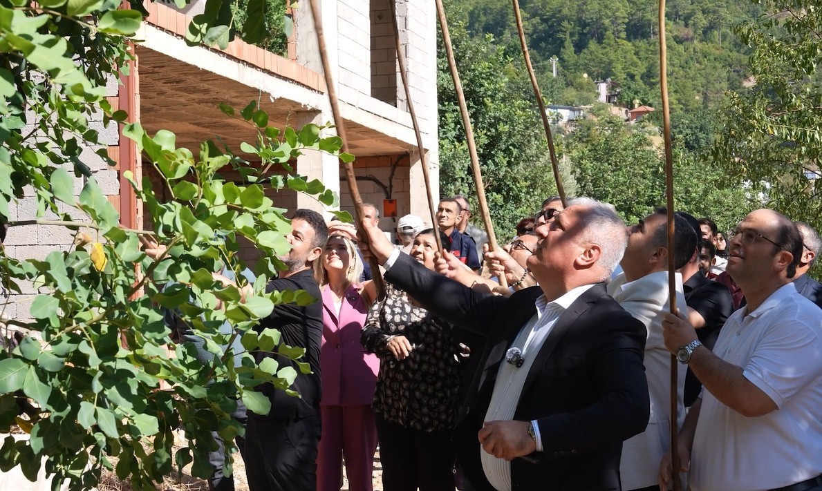 ALANYA’DA BU YIL İKİNCİSİ DÜZENLENEN KEÇİBOYNUZU HASAT ŞENLİĞİ, ÇEŞİTLİ ETKİNLİKLER, YÖRESEL ÜRÜN STANTLARI, YARIŞMALAR VE MÜZİK DİNLETİSİYLE GERÇEKLEŞTİRİLDİ. OBAALACAMİ MAHALLESİ’NDE DÜZENLENEN ŞENLİKTE, KEÇİBOYNUZUNDAN ÜRETİLEN PEKMEZ, UN VE ÇEŞİTLİ ÜRÜNLER KATILIMCILARIN BEĞENİSİNE SUNULDU. ŞENLİĞİN RENKLİ ETKİNLİKLERİNDEN BİRİ İSE “EN AĞIR KEÇİBOYNUZU” YARIŞMASI OLDU.