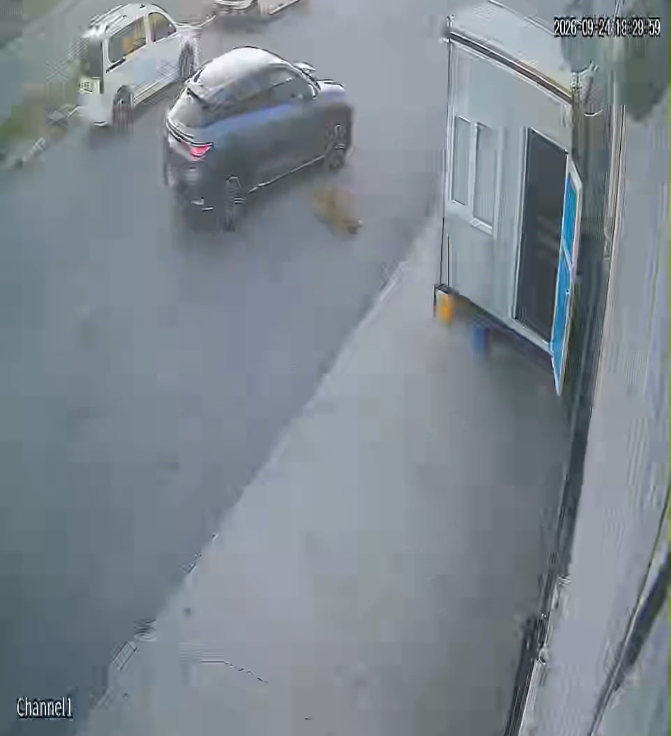 AFYONKARAHİSAR'DA BİR SÜRÜCÜNÜN SOKAK KÖPEĞİNE ÇARPTIKTAN SONRA DURMAYARAK YOLUNA DEVAM ETTİĞİ ANLAR GÜVENLİK KAMERALARINA YANSIRKEN, YAŞANANLAR GÖRENLERİN İÇİNİ SIZLATTI.