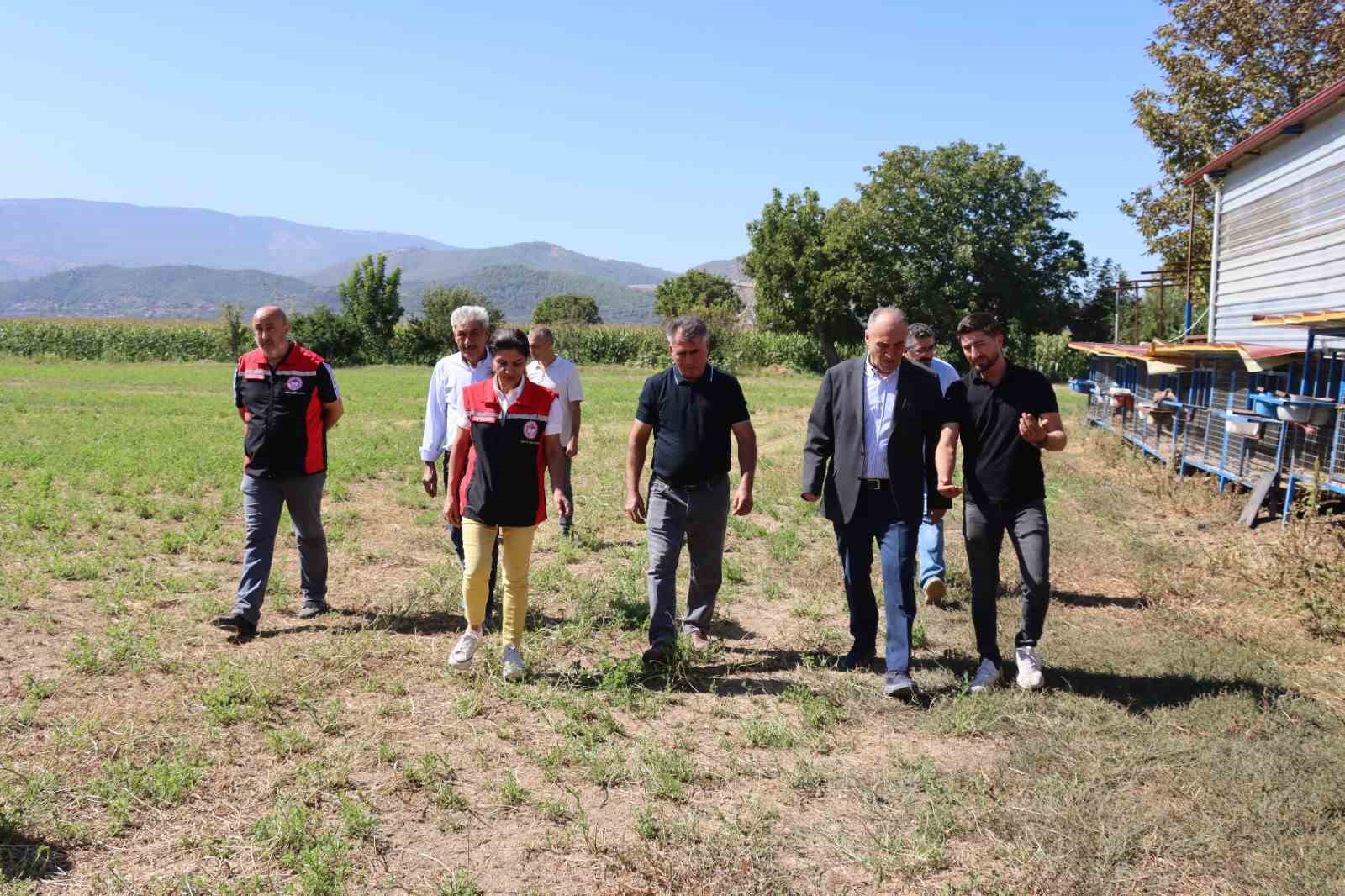MUĞLA’NIN YATAĞAN İLÇESİNDE TARIMSAL ÜRETİME DİKKAT ÇEKMEK VE ÜRETİCİLERİN EMEĞİNİ TAÇLANDIRMAK AMACIYLA HASAT ŞENLİĞİ GERÇEKLEŞTİRİLDİ. YENİ MAHALLE VE YENİKÖY MAHALLELERİNDE DÜZENLENEN ETKİNLİKTE, ÜRETİCİLER VE İLÇE PROTOKOLÜ BİR ARAYA GELDİ.