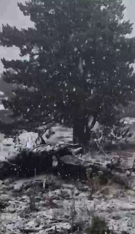 MUĞLA’NIN KAVAKLIDERE İLÇESİNDE YÜKSEK KESİMLERDE SEZONUN İLK KAR YAĞIŞI GÖRÜLDÜ.