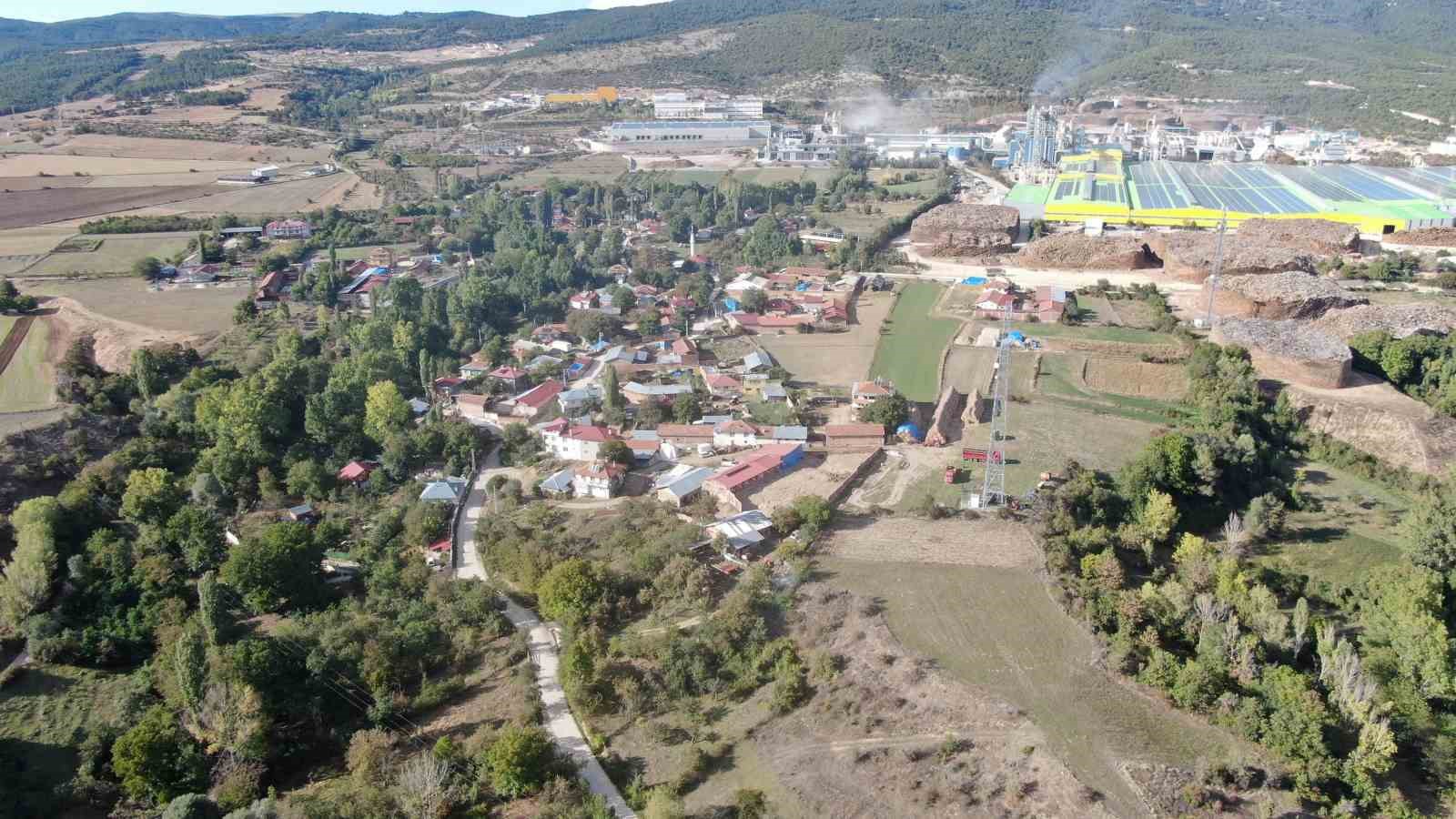 SADECE KASTAMONU'DA YETİŞEN OSMANLI MUTFAĞININ DA VAZGEÇİLMEZ MEYVELERİNDEN COĞRAFİ İŞARET BELGELİ ENDEMİK BİTKİ TÜRÜ OLARAK KABUL EDİLEN ÜRYANİ (ALA) ERİĞİNİN HASADINA BAŞLANDI.