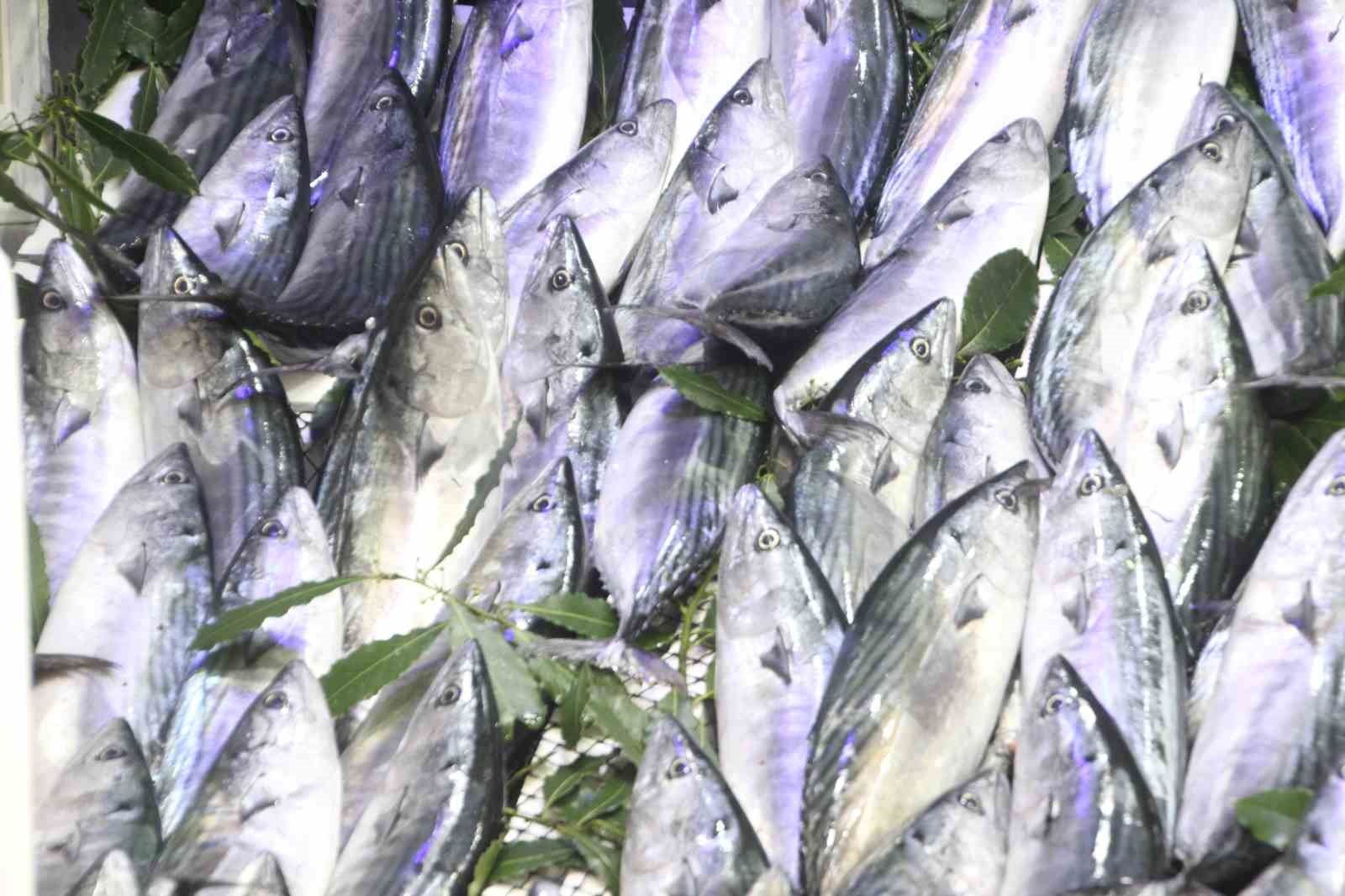 TEZGAHLARDAKİ BOL PALAMUT