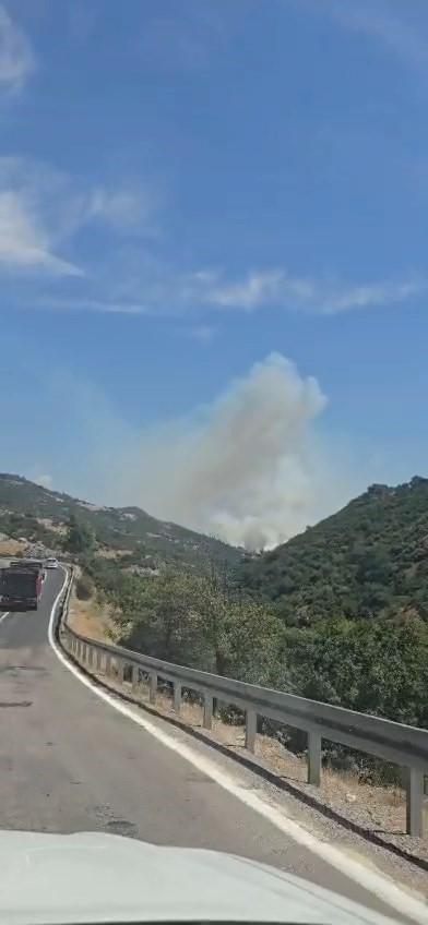 BALIKESİR’İN SINDIRGI İLÇESİNDE ARAÇTAN ÇIKTIĞI BELİRTİLEN YANGININ ORMANLIK ALANA SIÇRAMASI ÜZERİNE EKİPLER HAREKETE GEÇTİ. YANGINA HAVADAN VE KARADAN MÜDAHALE DEVAM EDİYOR.