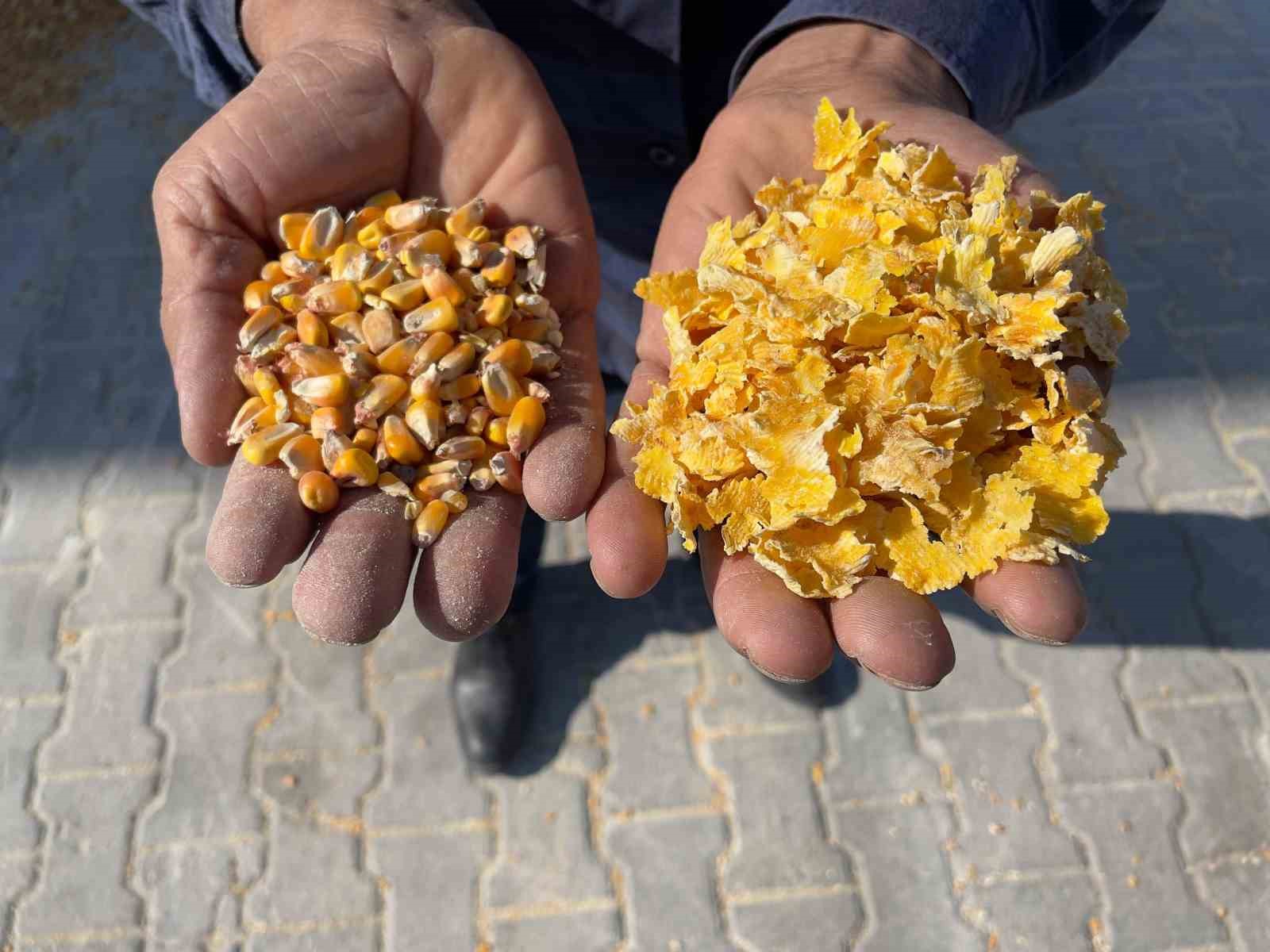 KAYSERİ'NİN DEVELİ İLÇESİNDE FAALİYET GÖSTEREN ÖKSÜT MADENCİLİK'İN MERA VE SU ALTYAPISI YATIRIMLARI, BÖLGEDEKİ HAYVANCILIK FAALİYETLERİNİN GELİŞİMİNE KATKI SUNUYOR.
