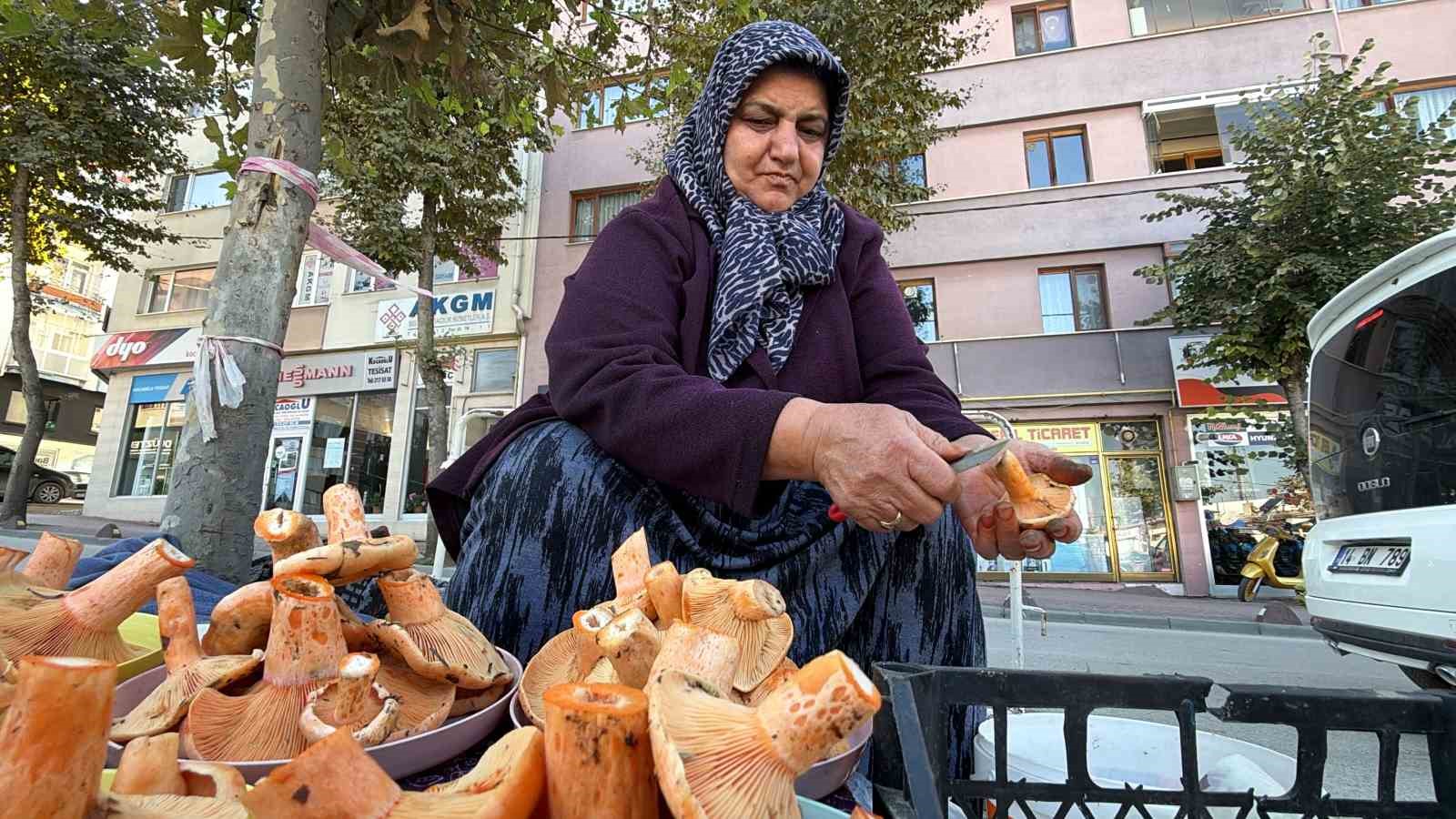 BOLU’DA YAĞIŞLARIN ARDINDAN ORMANLARDA YETİŞEN KANLICA MANTARLARI, VATANDAŞLAR TARAFINDAN KOVA KOVA TOPLANARAK PAZARLARDA SATIŞA SUNULUYOR. YOĞUN İLGİ GÖREN KANLICA MANTARININ KİLOSU 500 İLE 600 LİRA ARASINDA DEĞİŞİYOR.
