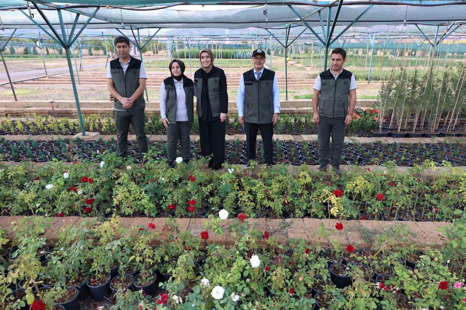BİNGÖL’DE 72 DÖNÜMLÜK FİDANLIKTA 18 FARKLI TÜRDE ÜRETİM YAPILIYOR