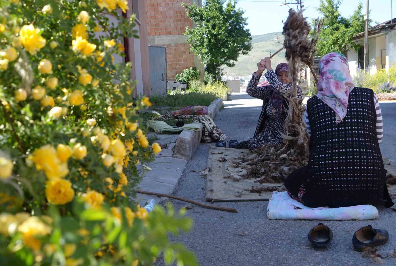 BAYBURT’TA YAZ SICAKLARINDA KADINLAR, KIŞLIK YORGAN, YASTIK, MİNDER VE DÖŞEKLERDE KULLANILAN YÜNLERİ TEMİZLEMEK VE YENİLEMEK İÇİN GELENEKSEL YÜN ÇIRPMA MESAİSİNE BAŞLADI