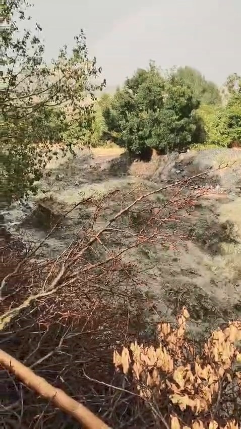 ELAZIĞ’IN PALU İLÇESİNE BAĞLI GÖKDERE VE GEMTEPE KÖYLERİNDE ŞİDDETLİ YAĞIŞLAR SONUCU YAŞANAN SEL OLAYINDAN DOLAYI DERELER TAŞTI