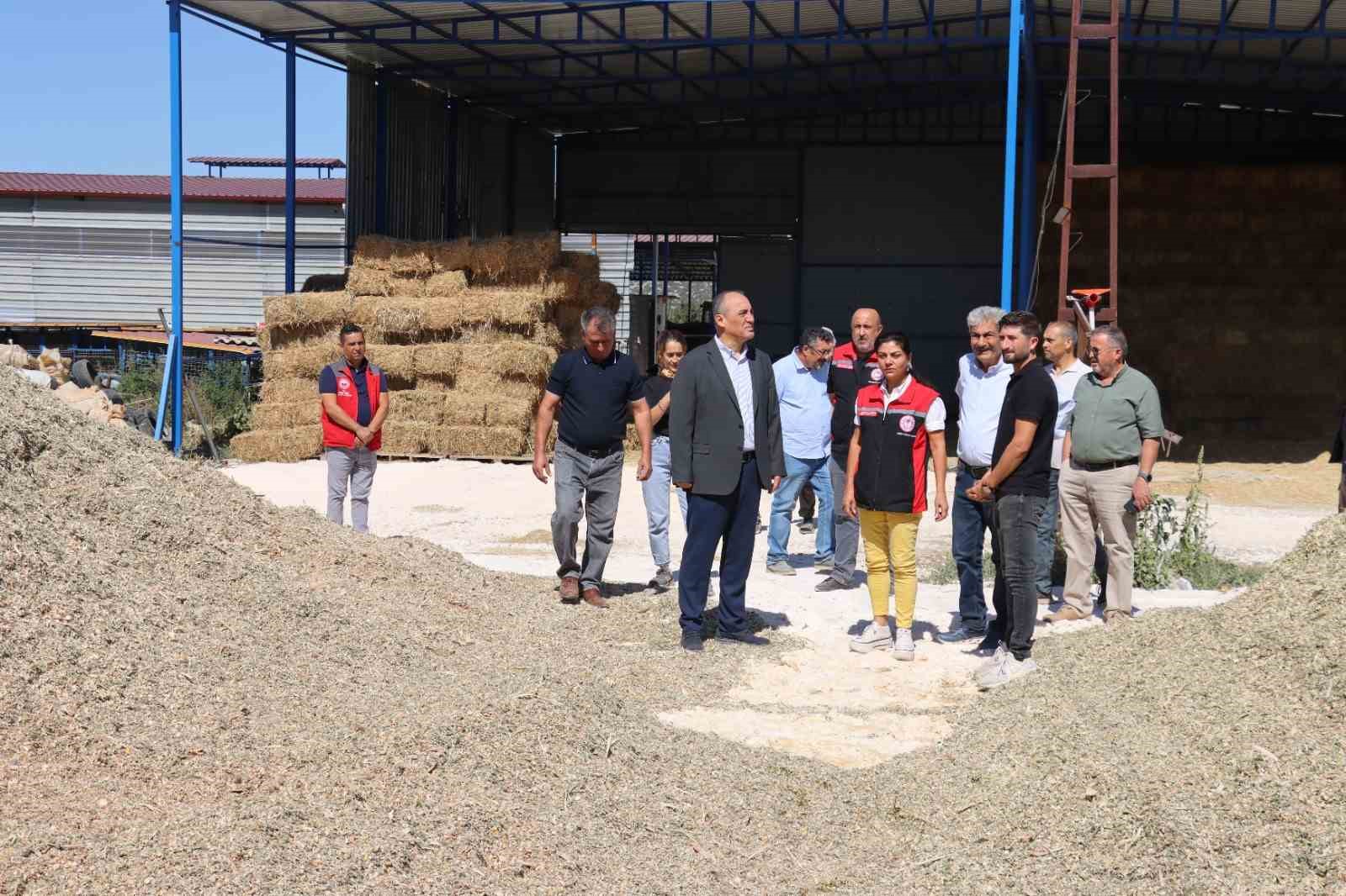 MUĞLA’NIN YATAĞAN İLÇESİNDE TARIMSAL ÜRETİME DİKKAT ÇEKMEK VE ÜRETİCİLERİN EMEĞİNİ TAÇLANDIRMAK AMACIYLA HASAT ŞENLİĞİ GERÇEKLEŞTİRİLDİ. YENİ MAHALLE VE YENİKÖY MAHALLELERİNDE DÜZENLENEN ETKİNLİKTE, ÜRETİCİLER VE İLÇE PROTOKOLÜ BİR ARAYA GELDİ.