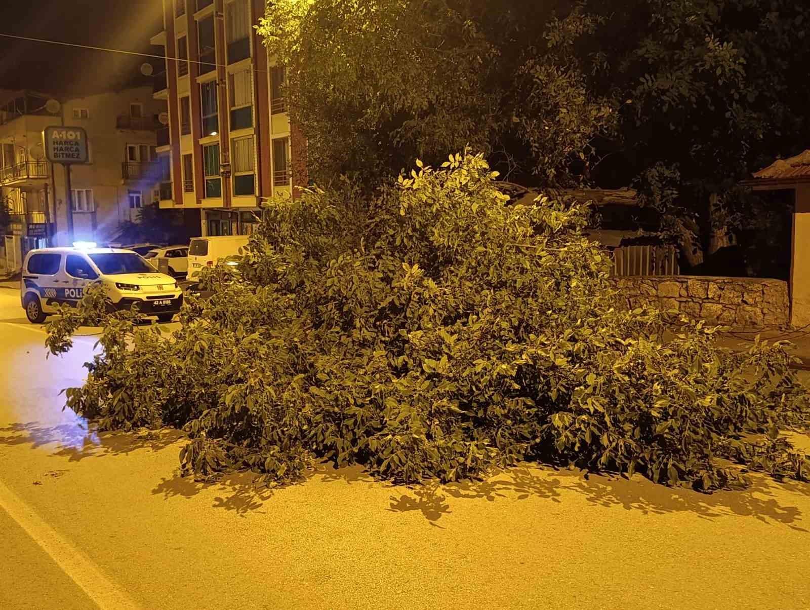 KONYA’NIN BEYŞEHİR İLÇESİNDE GECE SAATLERİNDE YOLA CEVİZ AĞACININ DALLARI DEVRİLDİ. OLAYDA ŞANS ESERİ YARALANAN OLMAZKEN, CADDE BİR SÜRE ULAŞIMA KAPANDI.