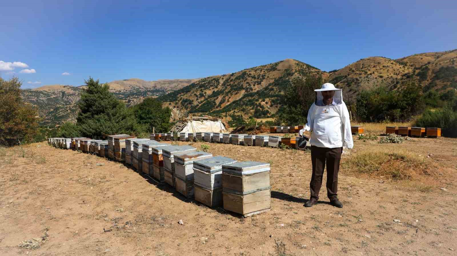 310 KOVANDA ÜRETİM YAPAN YÜKSEL, SAHTE BAL VE ARTAN MALİYETLERİN ARICILARI ZORLADIĞINI BELİRTEREK TÜKETİCİLERE BALI DOĞRUDAN ARICIDAN ALMA ÇAĞRISINDA BULUNDU.