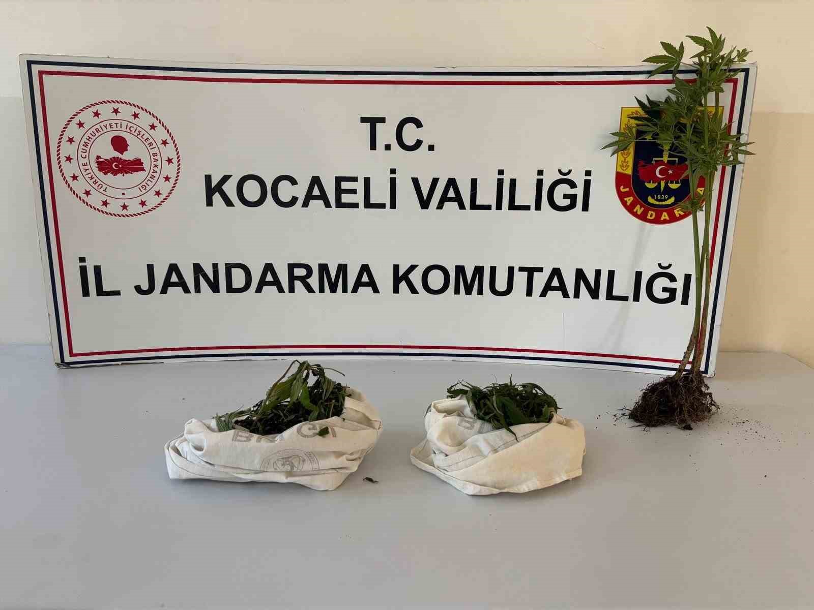 KOCAELİ'DE DÜZENLENEN UYUŞTURUCU OPERASYONLARINDA 1 KİLO 37 GRAM KUBAR ESRAR, BİN 12 CAPTAGON HAP, BONZAİ, METAMFETAMİN, SENTETİK ECZA VE 4 KÖK KENEVİR ELE GEÇİRİLDİ.