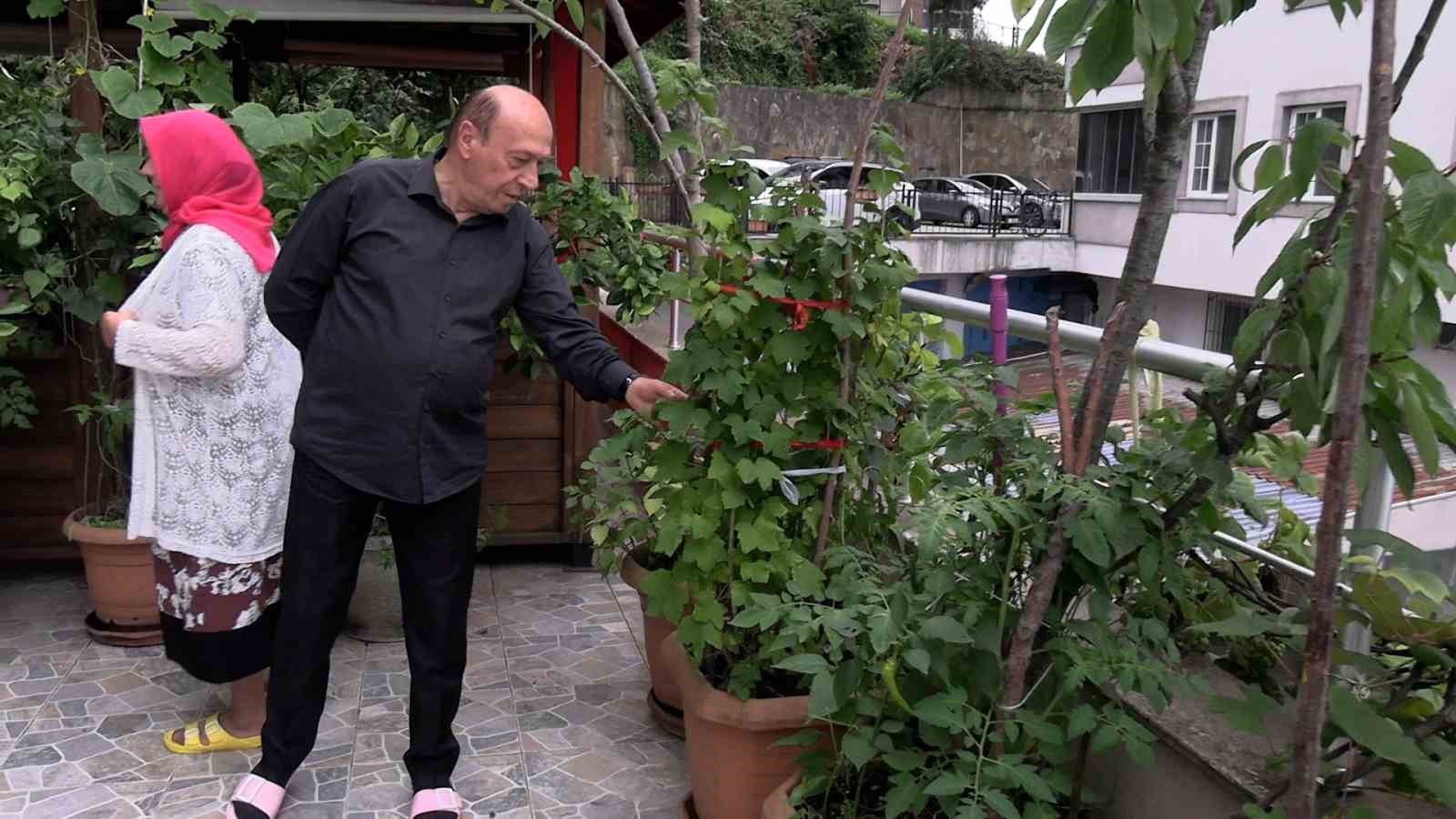 RİZE'DE YAŞAYAN SİNAN VE MELEK UĞUR ÇİFTİ, EVLERİNİN 150 METREKARELİK BALKONUNA YERLEŞTİRDİKLERİ 102 SAKSIDA ÇEŞİTLİ MEYVE AĞAÇLARI VE ASMALARLA ALANI ADETA BİR BOTANİK BAHÇESİNE DÖNÜŞTÜRDÜ