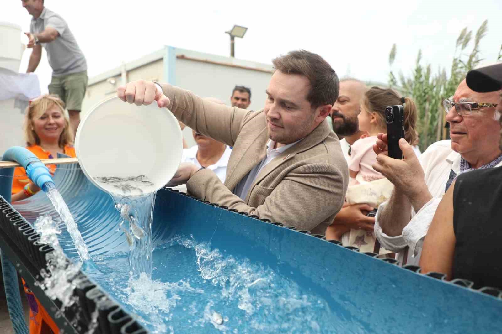 BODRUM’DA BALIK FESTİVALİ İÇİN GERİ SAYIM BAŞLADI