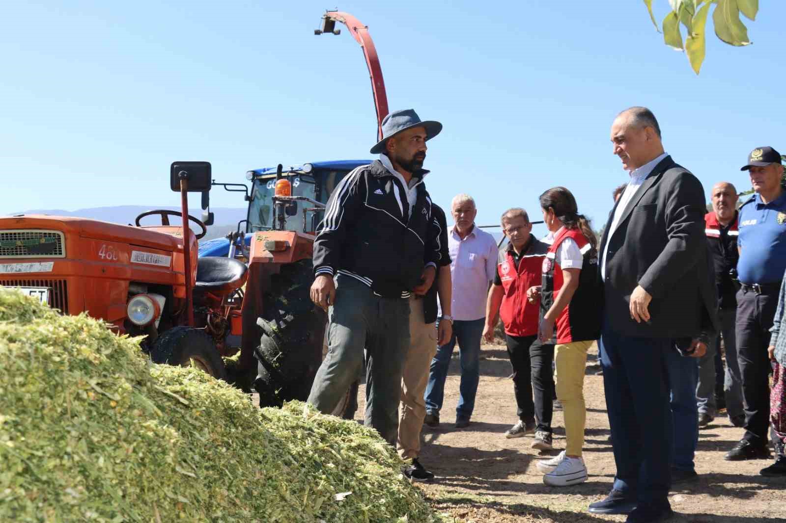 MUĞLA’NIN YATAĞAN İLÇESİNDE TARIMSAL ÜRETİME DİKKAT ÇEKMEK VE ÜRETİCİLERİN EMEĞİNİ TAÇLANDIRMAK AMACIYLA HASAT ŞENLİĞİ GERÇEKLEŞTİRİLDİ. YENİ MAHALLE VE YENİKÖY MAHALLELERİNDE DÜZENLENEN ETKİNLİKTE, ÜRETİCİLER VE İLÇE PROTOKOLÜ BİR ARAYA GELDİ.