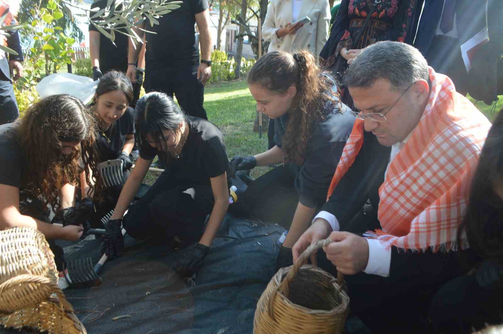 AYVALIK’TA ZEYTİNİN BİN YILLIK HİKÂYESİNİ GENÇ ELLER