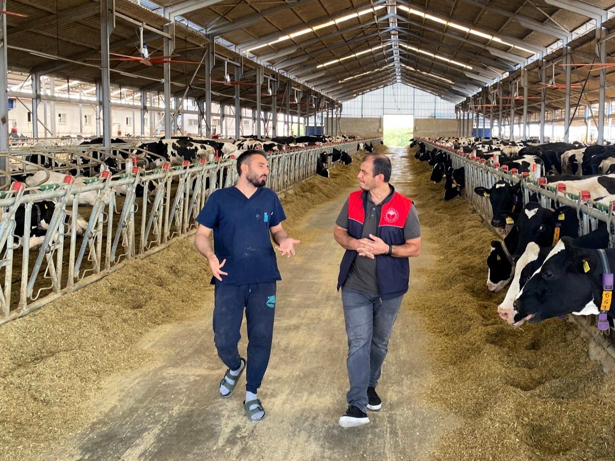 KIRKLARELİ'NİN PINARHİSAR İLÇESİNE BAĞLI OSMANCIK KÖYÜNDE FAALİYET GÖSTEREN BİR HAYVANCILIK İŞLETMESİNDE GERÇEKLEŞEN ÜÇÜZ DOĞUM, İŞLETME SAHİBİNE BÜYÜK SEVİNÇ YAŞATTI. DÜNYAYA GELEN ÜÇ BUZAĞININ SAĞLIK DURUMLARININ KONTROL EDİLDİĞİ BİLDİRİLDİ.