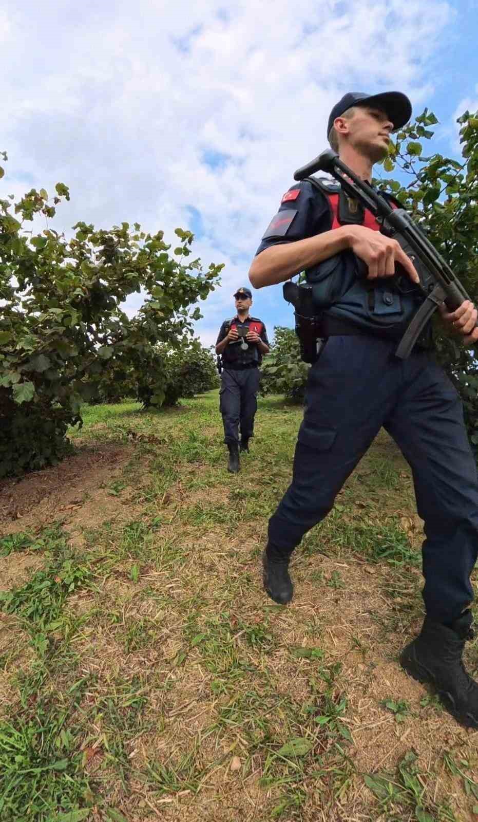 KOCAELİ İL JANDARMA KOMUTANLIĞI EKİPLERİ, FINDIK HASADI DÖNEMİNDE TARLALARDA YAŞANABİLECEK HIRSIZLIK OLAYLARININ ÖNÜNE GEÇMEK AMACIYLA KANDIRA’DA 7 GÜN 24 SAAT DENETİM GERÇEKLEŞTİRİYOR.
