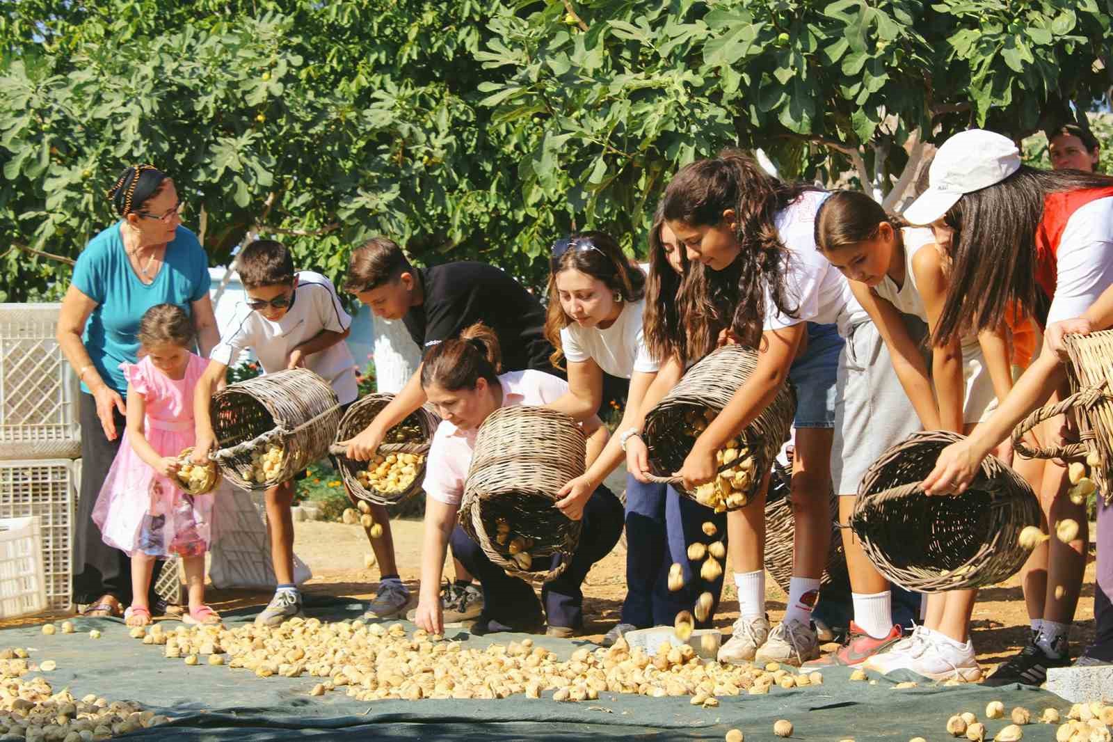 AYDIN’IN GERMENCİK İLÇESİNDE GENÇLİK MERKEZİ BÜNYESİNDE FAALİYET GÖSTEREN GÖNÜLLÜ GENÇLER, DÜZENLENEN ETKİNLİKTE İNCİR HASADINA KATILARAK TARIMSAL ÜRETİMİN ÖNEMİNE DİKKAT ÇEKTİ.